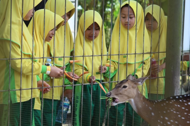 Mengenal Lebih Dekat Tentang Sekolah Dasar Islam Terpadu (SDIT): Apa Saja Keunggulannya?